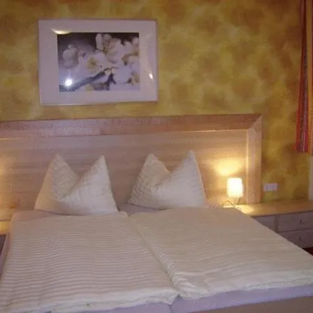 Neues Gastehaus Und Hotel-pension Zum Gmoana